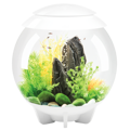BiOrb HALO biele 30l LED