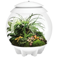 BiOrb Air 30l Terrarium - biela