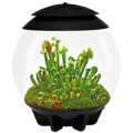 BiOrb Air 30l Terrarium - čierne