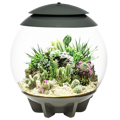 BiOrb Air 30l Terrarium - šedé
