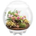 BiOrb Air Terrarium 60l - biela