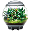 BiOrb Air Terrarium 60l - sivá