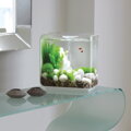 BiOrb FLOW biele 30l LED