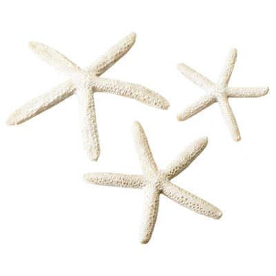 biorb hviezdice - biele 12, 10, 8 cm
