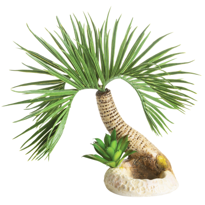 biOrb Palmový strom Seychelly S