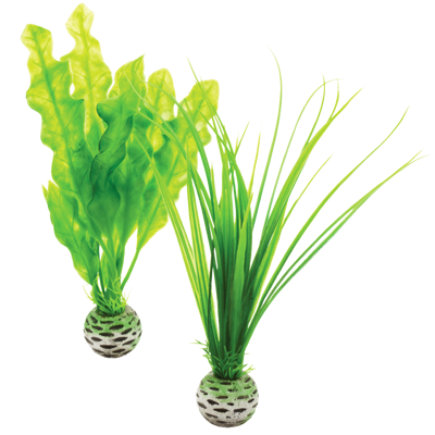 biOrb Plant Pack zelená set 20 cm