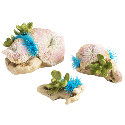 biOrb plate corals & button polyp set