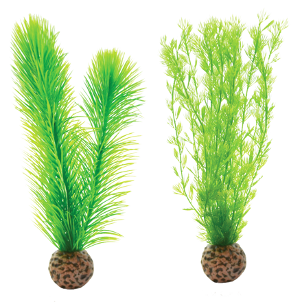 biOrb Green Feather Fern set zelené 20,5 cm