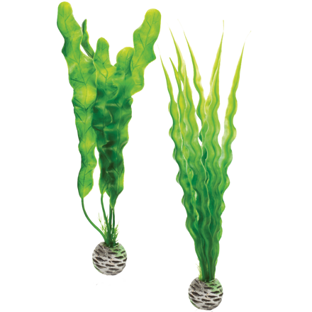 biOrb Plant Pack set zelené 29 cm