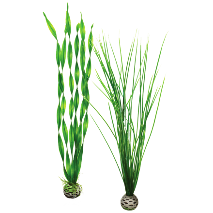 biOrb Plant Pack set zelené 39 cm