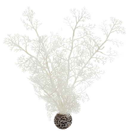 biOrb Sea Fan biela 29 cm