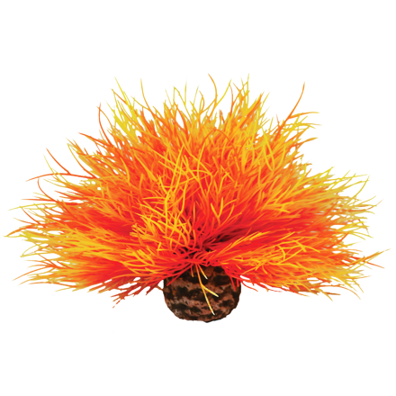 biOrb Sea lilies ohnivočervená 11cm