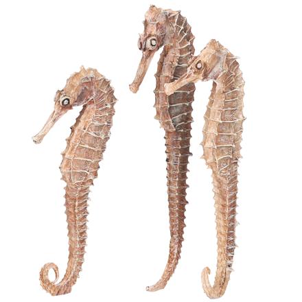 biorb Seahorse 3 pack natural