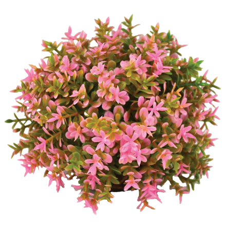 biOrb Topiary Ball - Pink 5cm