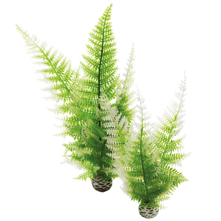 biOrb Winter Fern set zelené 29 cm