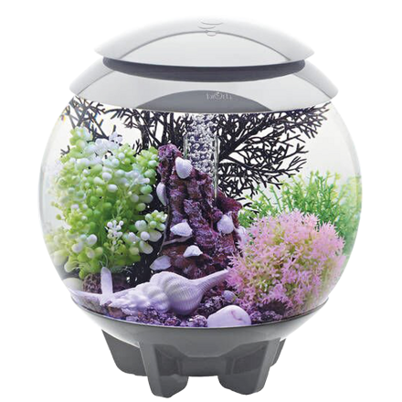 BiOrb HALO sivé 30l LED