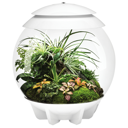 BiOrb Air 30 Terrarium - biela