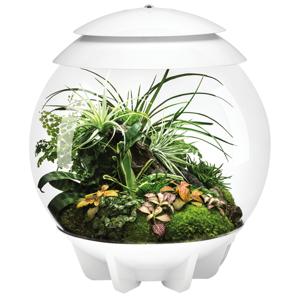 BiOrb Air 30 Terrarium - biela