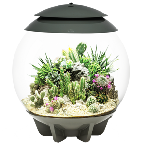 BiOrb Air 30 Terrarium - šedé
