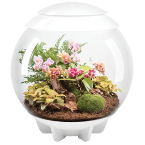 BiOrb Air Terrarium 60 - biela