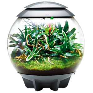BiOrb Air Terrarium 60 - sivá
