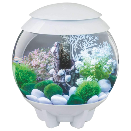 BiOrb HALO biele 30l LED