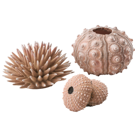 biOrb Sea Urchins Set natural