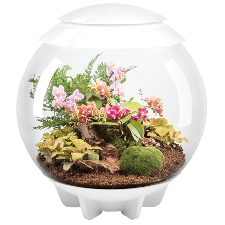 BiOrb Air Terrarium 60 - biela