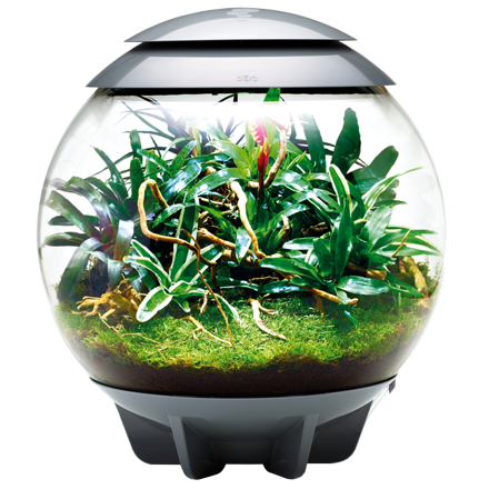 BiOrb Air Terrarium 60 - sivá